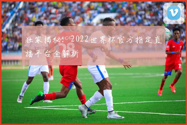 独家揭秘：2022世界杯官方指定直播平台全解析