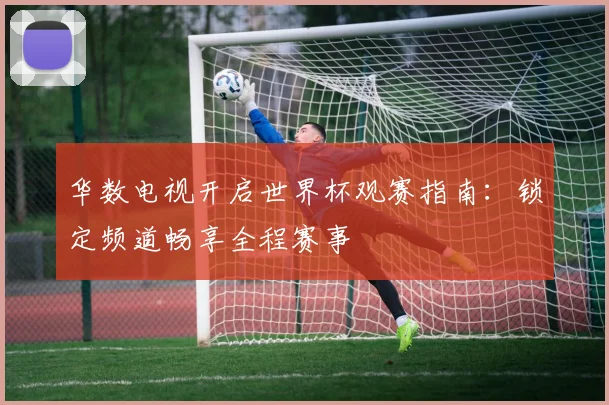 华数电视开启世界杯观赛指南：锁定频道畅享全程赛事