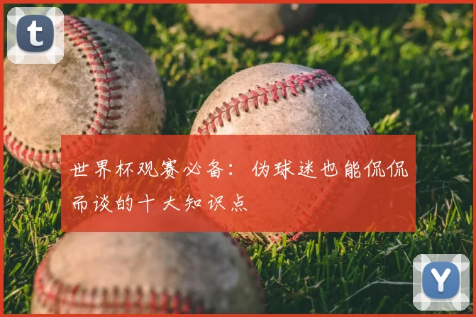 世界杯观赛必备：伪球迷也能侃侃而谈的十大知识点