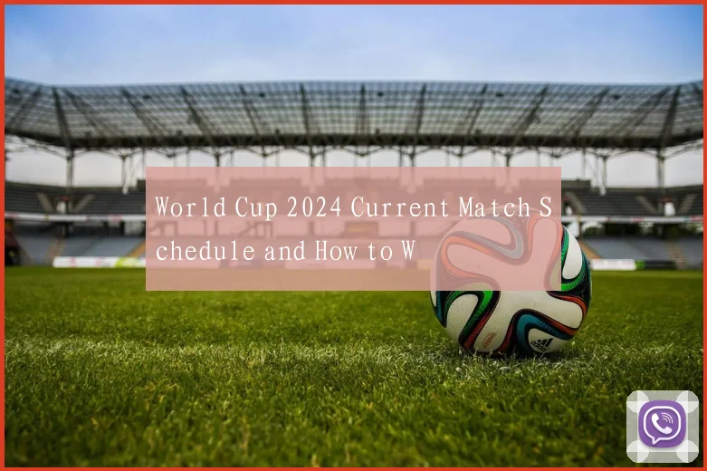 World Cup 2024 Current Match Schedule and How to W