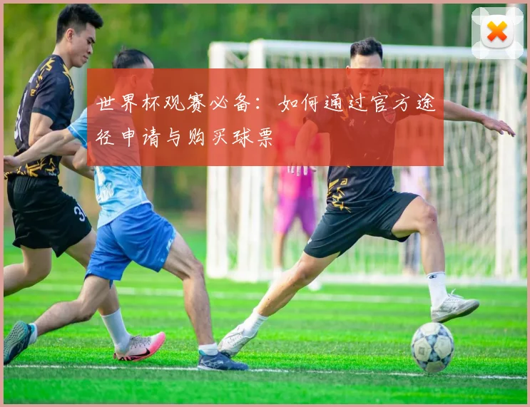世界杯观赛必备：如何通过官方途径申请与购买球票